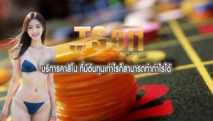 บริการคาสิโน ที่มีต้นทุนเท่าไรก็สามารถทำกำไรได้